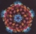 rna