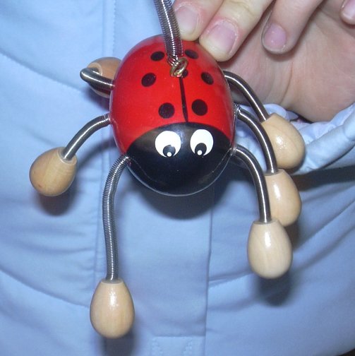 bug