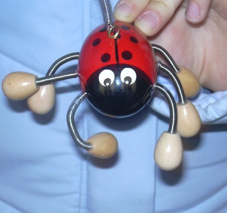 bug