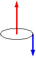 spin1