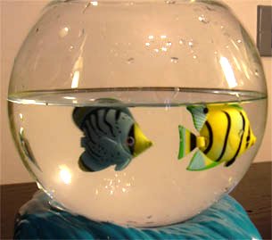 fish