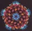 rna