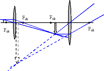 Schemat mikroskopu