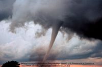 Twister